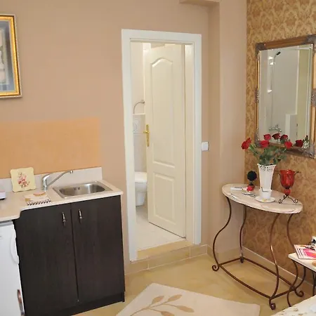 公寓 皇家公寓 *